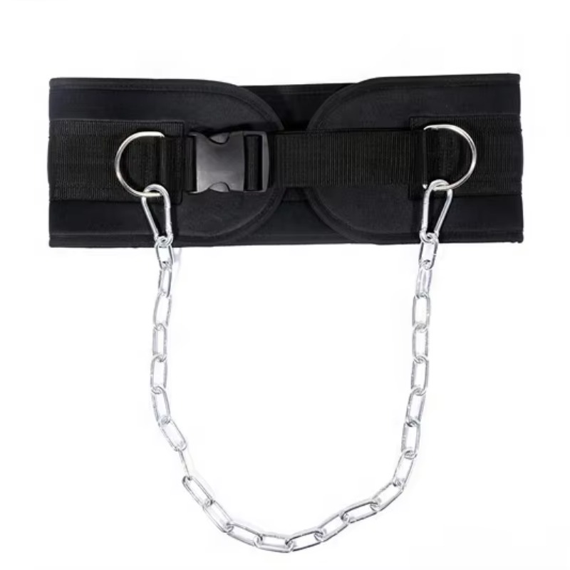 운동 기구 헤비 체인 웨이트 풀업 웨이트리프팅 벨트 - Weight Lifting Belt 리뷰 및 가격